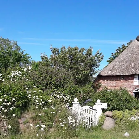 Meeresbrise By Interhome Appartement Emmelsbüll-Horsbüll