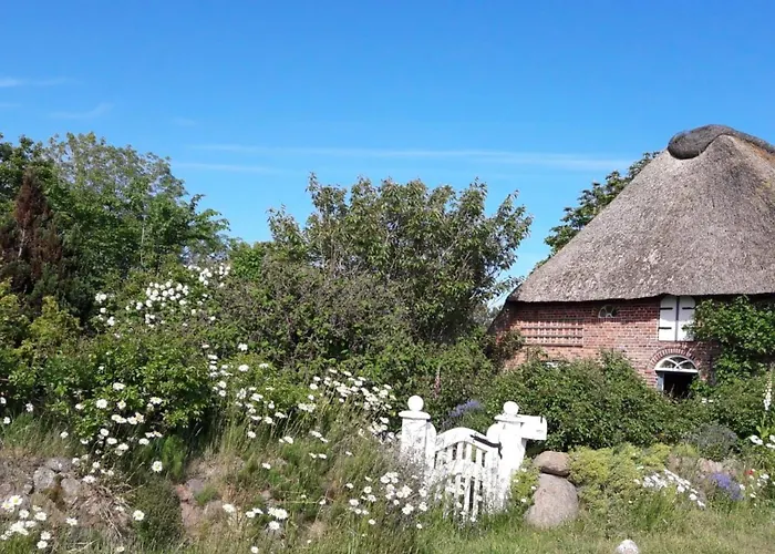 Meeresbrise By Interhome Appartement Emmelsbüll-Horsbüll