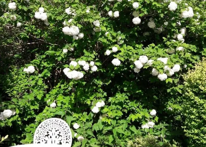 Meeresbrise By Interhome Appartement *